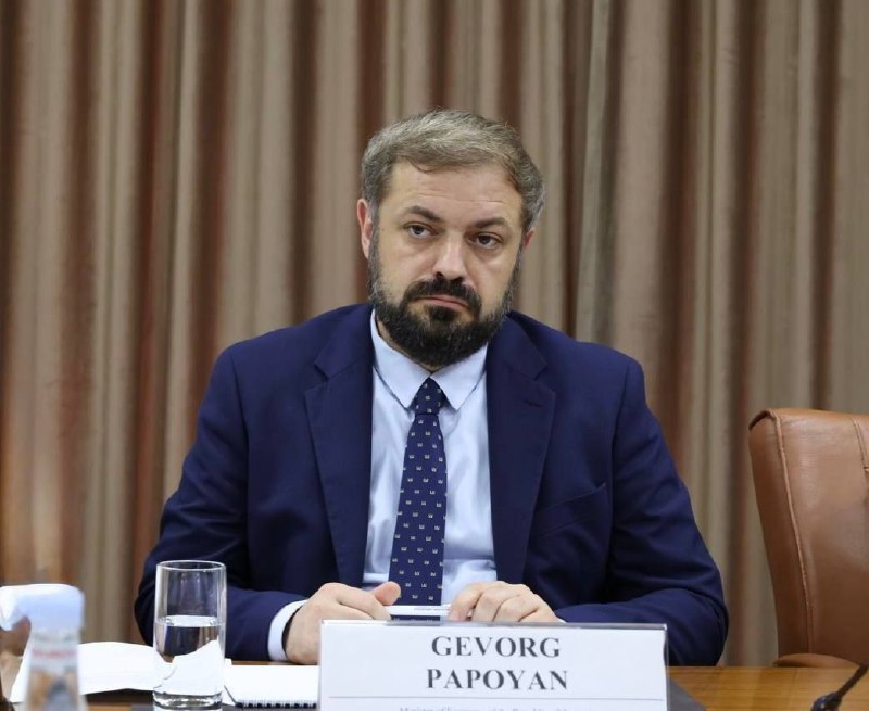 В Ереване построят игровой комплекс за $500 млн: проект обсудили в Минэкономики Армении