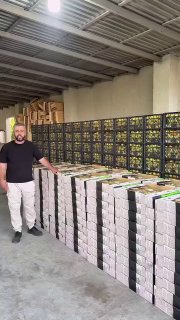 Армянские абрикосы из Чаренцавана отправляются в Сингапур компанией Davtyan Farms