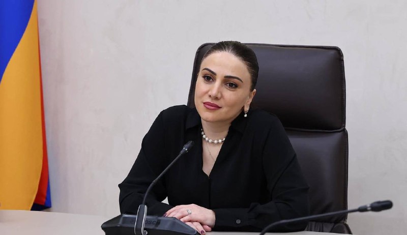 Арусяк Манавазян на заседании партии Гражданский договор, Чаренцаван