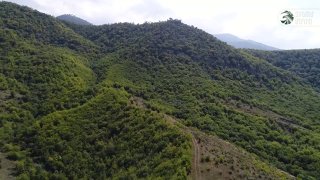 Армейские игры в Чаренцаване, соревнования силовых структур Армении