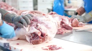 Производственный цех компании «Атенк» в Чаренцаване, мясоперерабатывающее оборудование