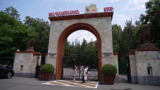В Чаренцаване обсуждают перевозку 7 хищников из особняка Царукяна в Ереванский зоопарк